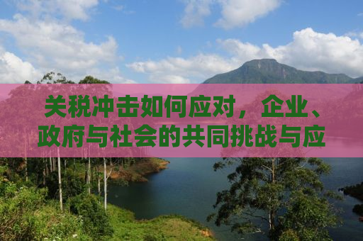 关税冲击如何应对，企业、政府与社会的共同挑战与应对策略