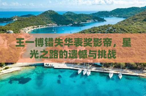 王一博错失华表奖影帝，星光之路的遗憾与挑战