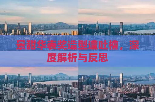 景甜华表奖造型遭吐槽，深度解析与反思