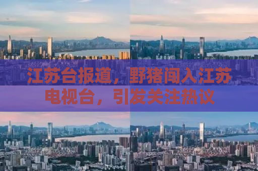 江苏台报道，野猪闯入江苏电视台，引发关注热议