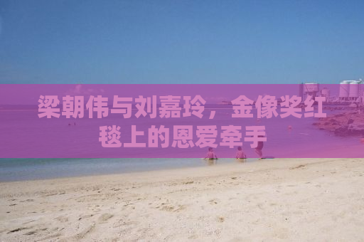 梁朝伟与刘嘉玲，金像奖红毯上的恩爱牵手