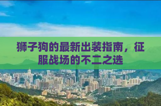 狮子狗的最新出装指南，征服战场的不二之选