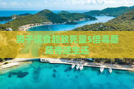 男子误食超致死量5倍毒蘑菇奇迹生还