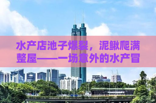 水产店池子爆裂，泥鳅爬满整屋——一场意外的水产冒险