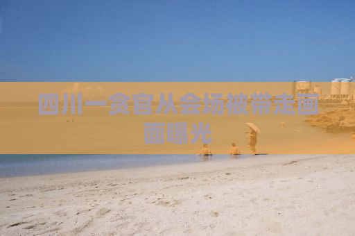 四川一贪官从会场被带走画面曝光