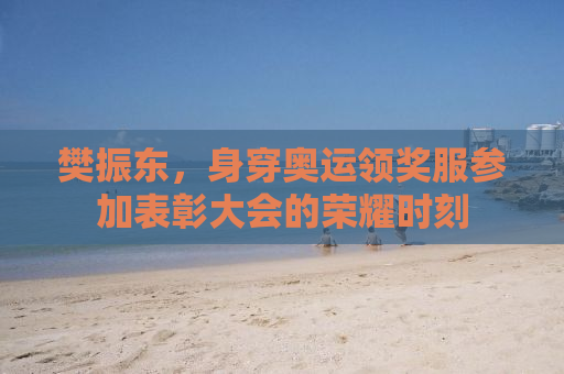 樊振东，身穿奥运领奖服参加表彰大会的荣耀时刻