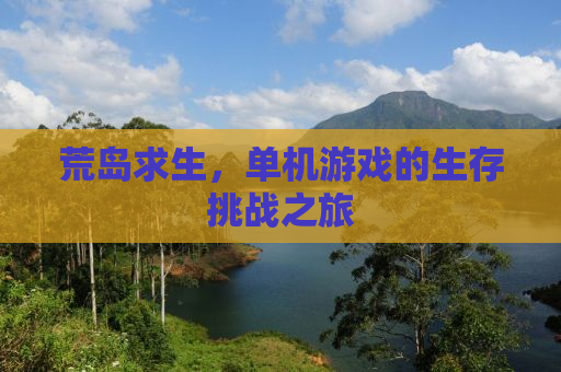 荒岛求生，单机游戏的生存挑战之旅