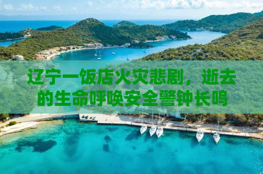 辽宁一饭店火灾悲剧，逝去的生命呼唤安全警钟长鸣
