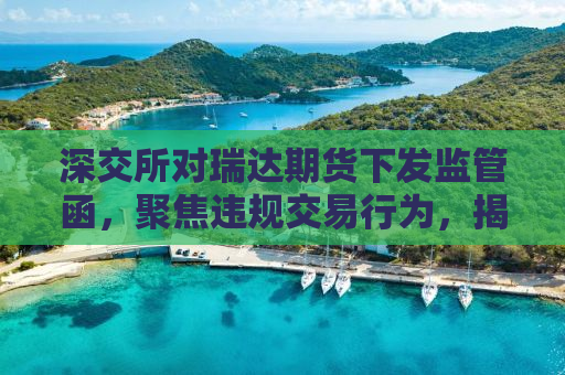 深交所对瑞达期货下发监管函，聚焦违规交易行为，揭示期货市场新动向