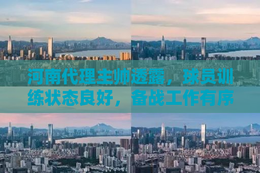 河南代理主帅透露，球员训练状态良好，备战工作有序展开