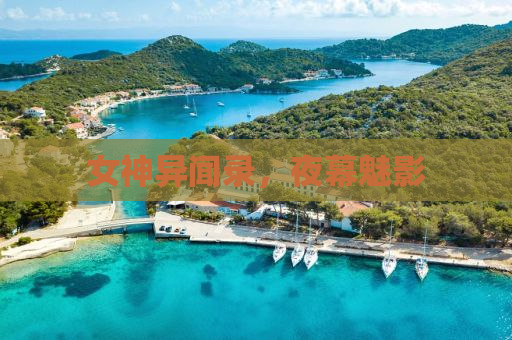 女神异闻录，夜幕魅影