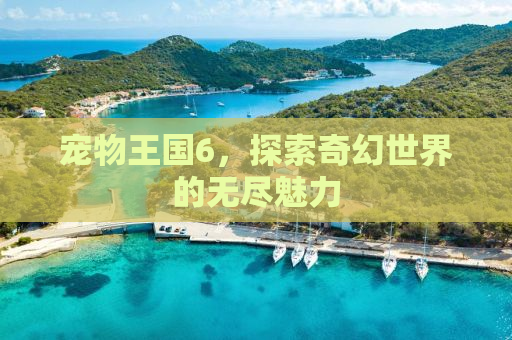 宠物王国6，探索奇幻世界的无尽魅力