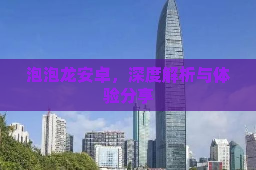 泡泡龙安卓，深度解析与体验分享
