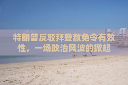特朗普反驳拜登赦免令有效性，一场政治风波的掀起