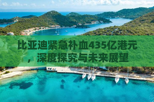 比亚迪紧急补血435亿港元，深度探究与未来展望