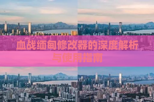 血战缅甸修改器的深度解析与使用指南