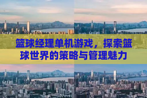 篮球经理单机游戏，探索篮球世界的策略与管理魅力